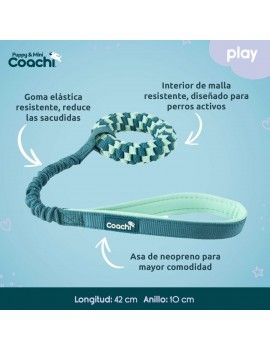 Harnais pour Chien Coachi