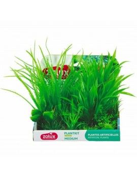 Plante décorative Zolux