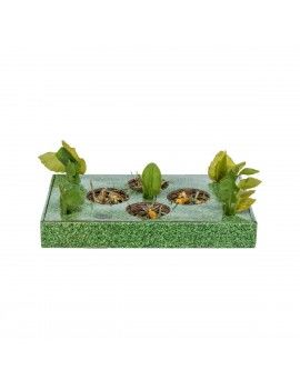 Plateau apéritif Trixie...