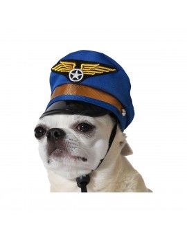 déguisement pour chien Bleu...