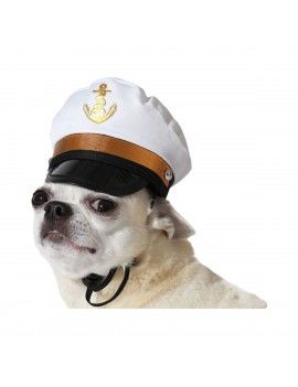 déguisement pour chien...