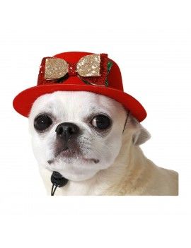 déguisement pour chien...