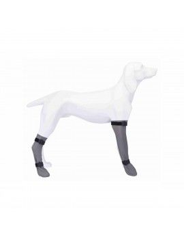 Chaussettes Trixie Gris L...