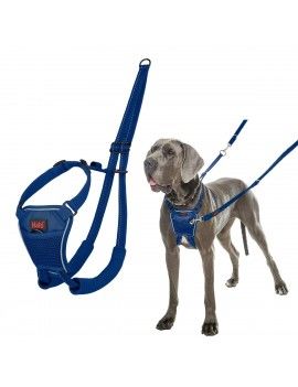 Harnais pour Chien Company...