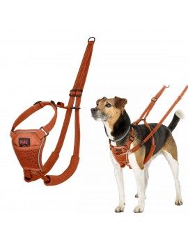 Harnais pour Chien Company...