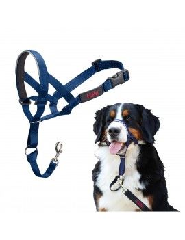 Muselière Company of...