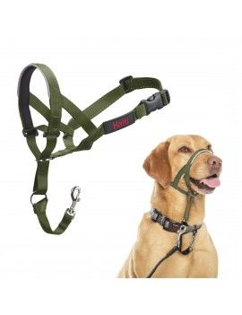 Muselière Company of...