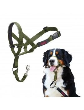 Muselière Company of...