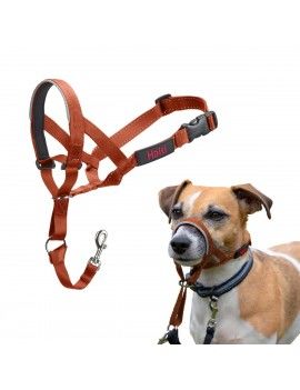 Muselière Company of...