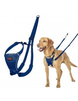 Harnais pour Chien Company...