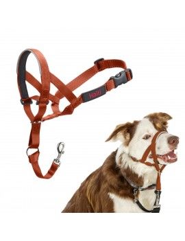 Muselière Company of...