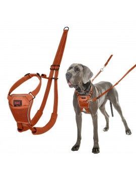 Harnais pour Chien Company...