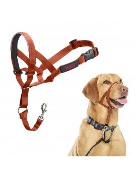 Muselière Company of...