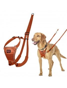 Harnais pour Chien Company...