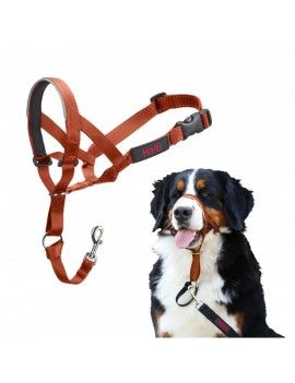 Muselière Company of...