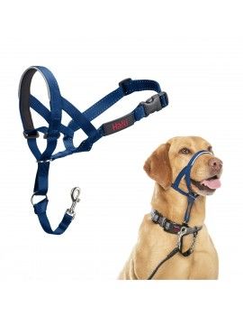 Muselière Company of...