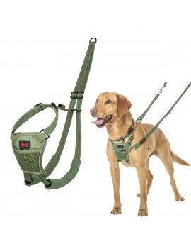 Harnais pour Chien Company...