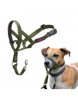 Muselière Company of...