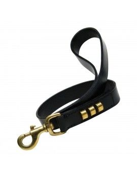 Laisse pour Chien Gloria...