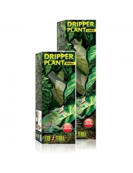 Water Dripper Plant Large -...