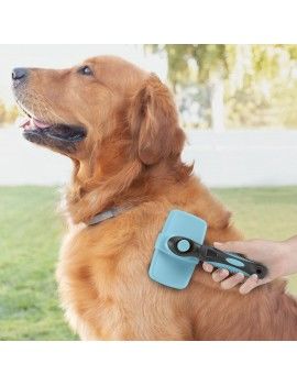 Brosse pour Animaux de...