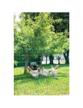KERBL Net for chickens 50 m...