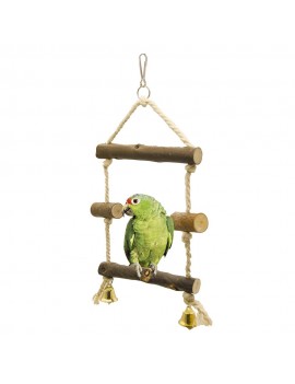 Bell for parrot and bird