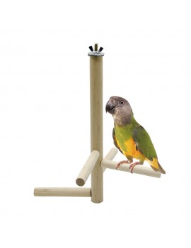Ladder for parrots and...
