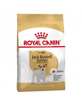 Dry food for Jack Russell...
